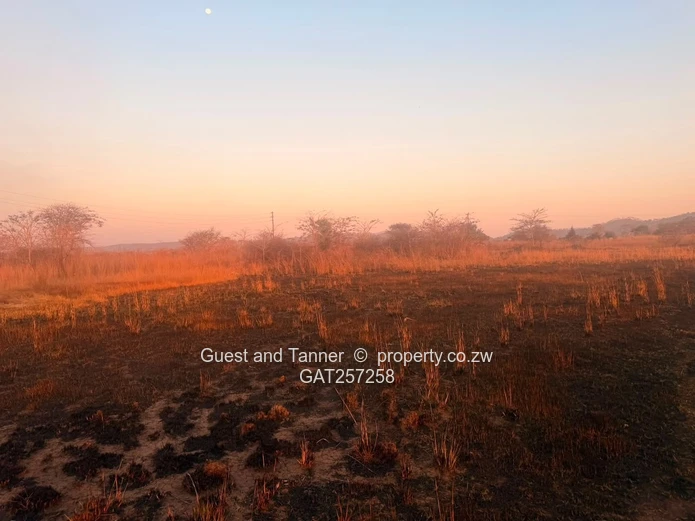 7,467Sqm Stand With Two Boreholes | Norton, Galloway