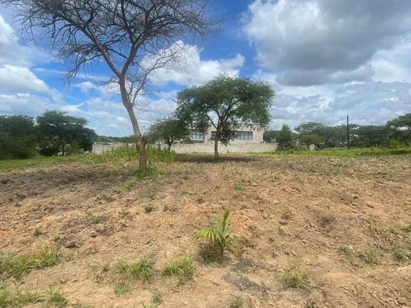 Stands & Residential Land