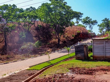 Stands & Residential Land