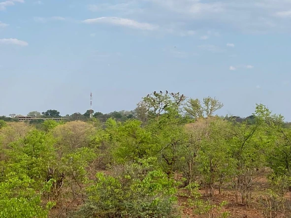 Land