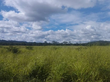 Expansive 22,317-Hectare Land for Sale in Selous