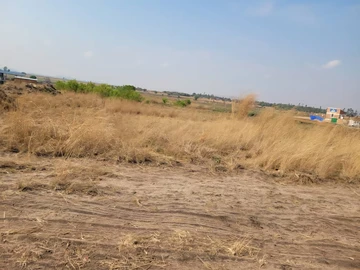 Land