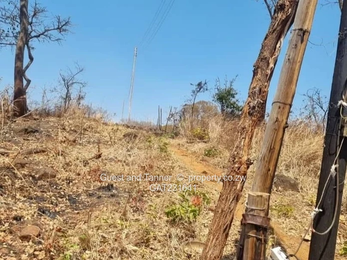 Prime Land For Sale In Glen Forest