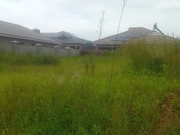 Stands & Residential Land