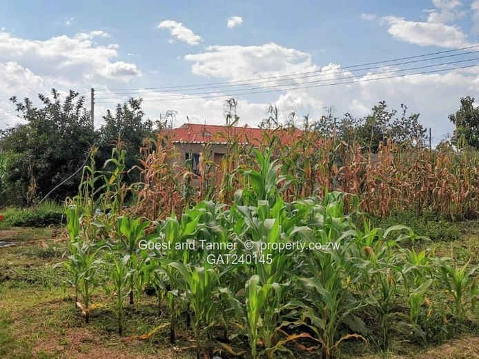 5-Bedroom House For Sale In  Sandton Phase 2