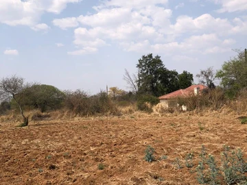 Stands & Residential Land