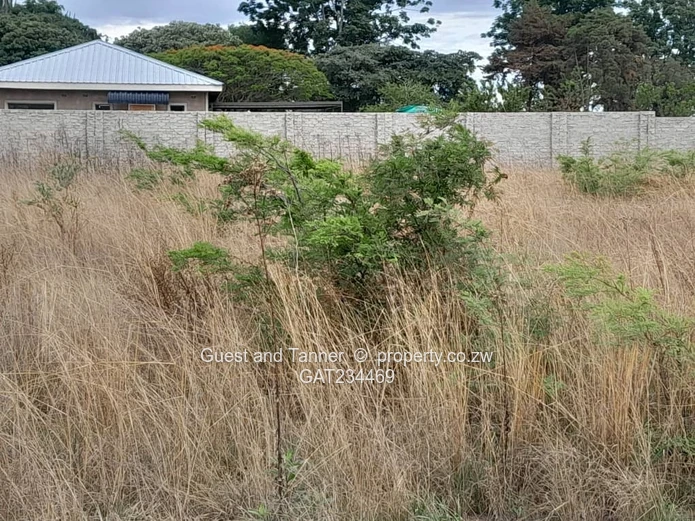 Stands Available In Greenskye near Ruwa