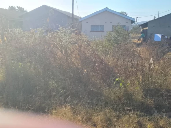 Land