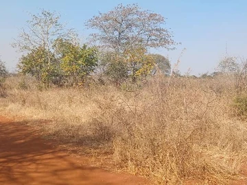 Farm & Agricultural Land