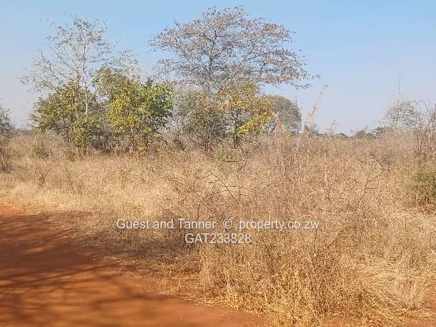 Prime Agro-Residential Plots for Sale – Norton (Limited Availability, High Demand)