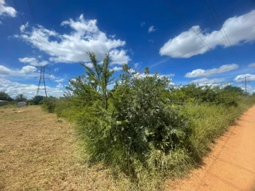 Stands & Residential Land