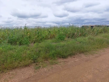 Land