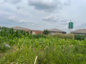 Stands & Residential Land