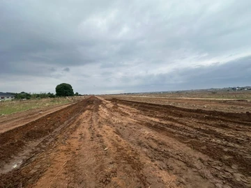 Stands & Residential Land