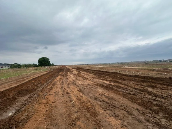 Stands & Residential Land