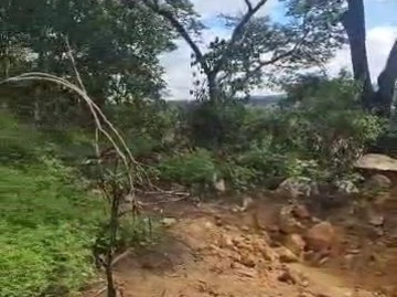 Land