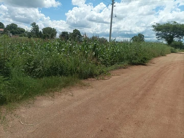 Land
