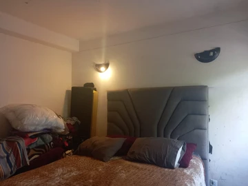 Flat & Apartment