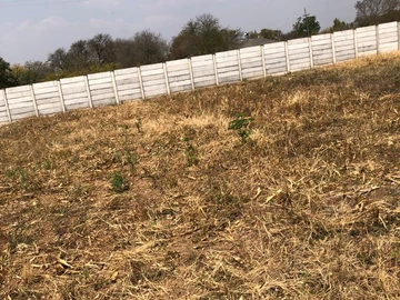 Stands & Residential Land