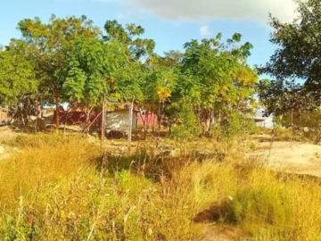 Commercial Property