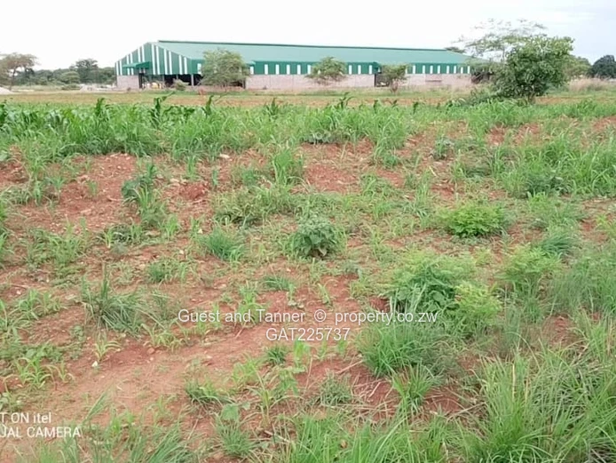 Commercial Land For Sale In Chegutu