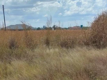 Land