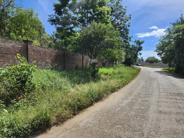 Stands & Residential Land