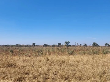 Land