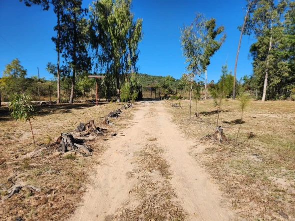 Farm & Agricultural Land