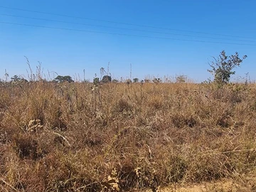 Land