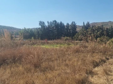 Commercial & Industrial Land