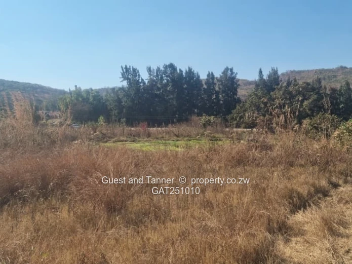 Prime Commercial Stand For Sale– Jerera, Ndanga