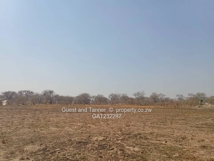 Invest in Chegutu's 4-hectare plot 