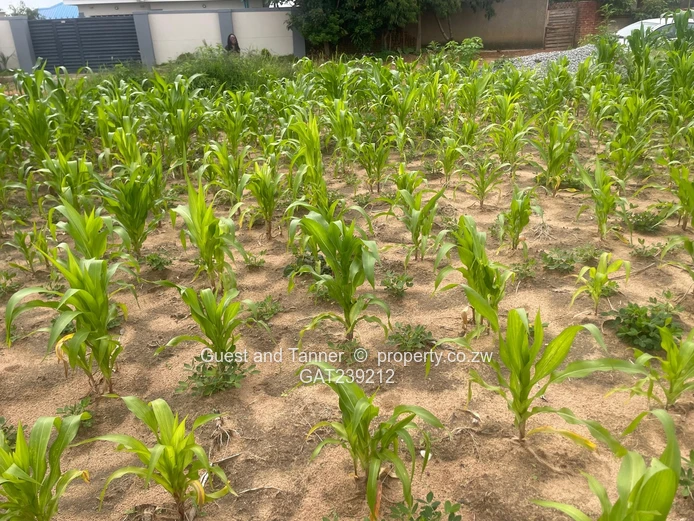 Residential Stand for Sale – Timire Ruwa (300sqm)