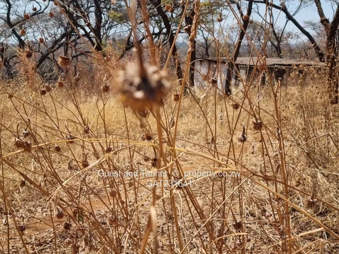 Prime Land For Sale In Glen Forest