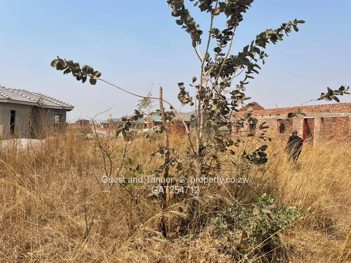 Prime Land Alert: Penrose, Nyabira