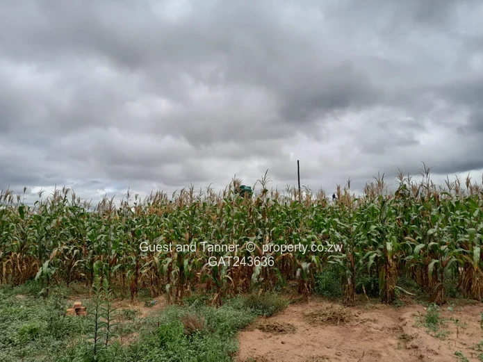 Prime 2550 m² Residential Stand for Sale in Sunway City - Harare East