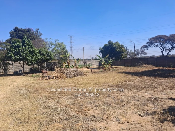 Golden Oldie Spacious Family Home for Sale - Hatfield 