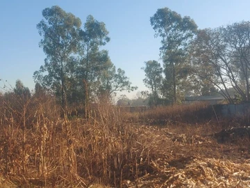 Land