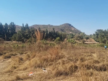 Commercial & Industrial Land