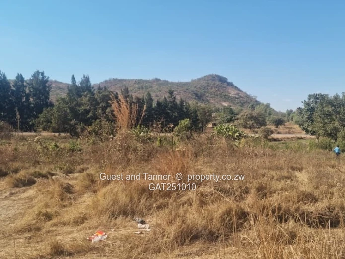 Prime Commercial Stand For Sale– Jerera, Ndanga