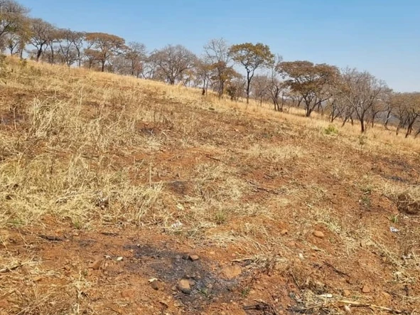 Land
