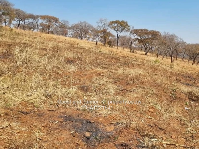 Prime Land For Sale In Glen Forest