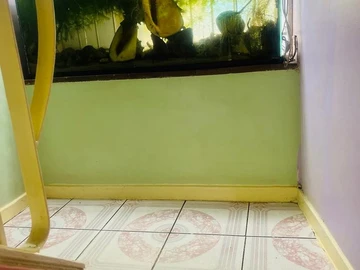 3 Bedroom Garden Flat