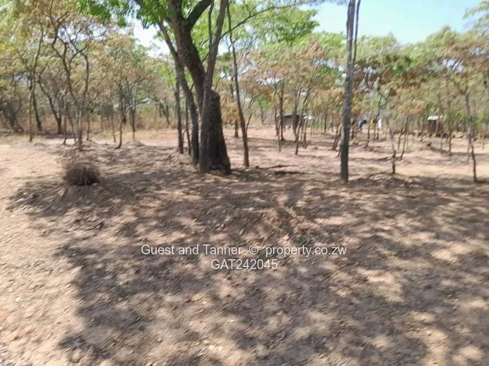 3 Prime Low-density Stands in Marondera’s Sought-after Rotsvlei Area