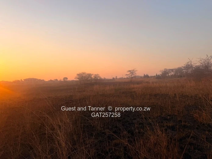 7,467Sqm Stand With Two Boreholes | Norton, Galloway