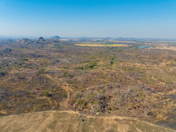 Farm & Agricultural Land