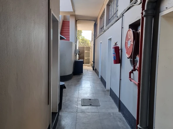 Flat & Apartment