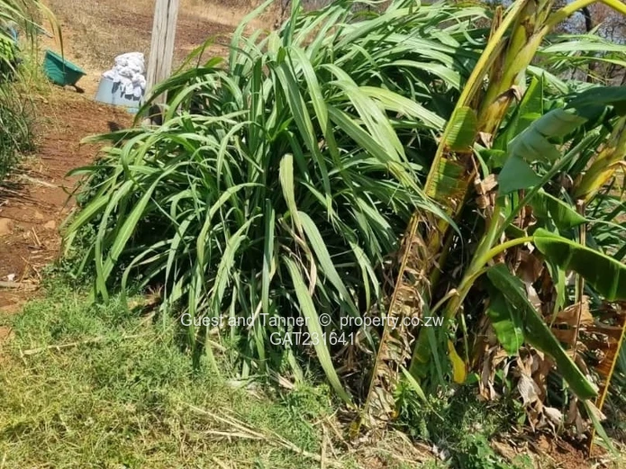 Prime Land For Sale In Glen Forest