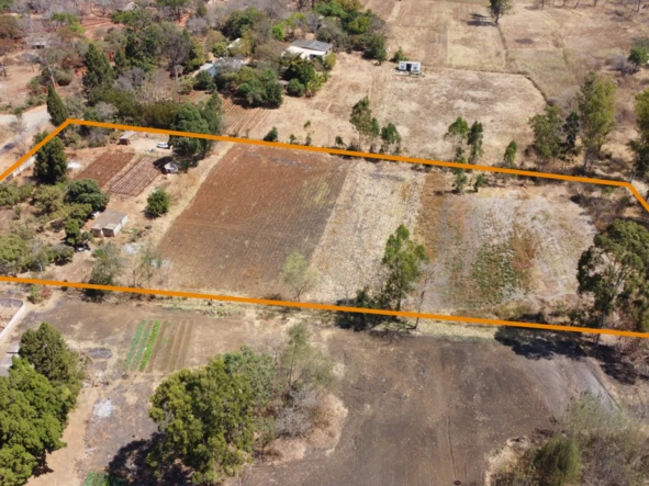 Stands & Residential Land